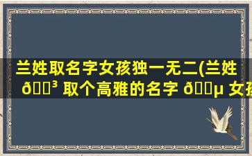 兰姓取名字女孩独一无二(兰姓 🌳 取个高雅的名字 🌵 女孩)